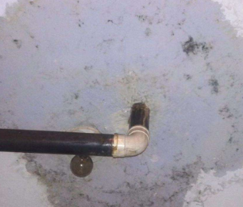 薛城卫生间防水哪家好