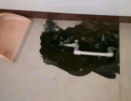 薛城卫生间测漏水多少钱